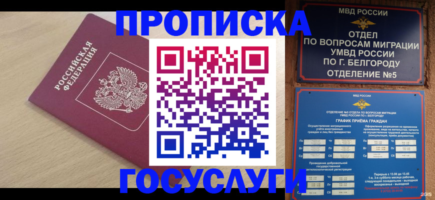 прописка законно в Кушве